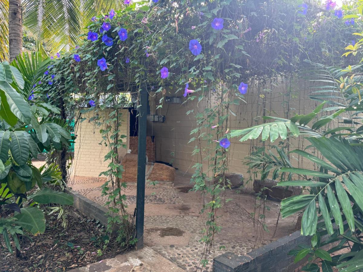 Chikoo Farm Inn Bangalore Dış mekan fotoğraf